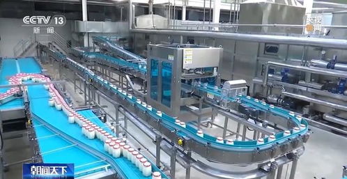 智釀孝感米酒 生物科技賦能傳統技藝，揭秘酸酸甜甜的秘訣
